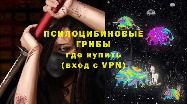 гашиш Богданович