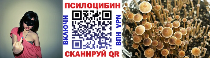 Псилоцибиновые грибы GOLDEN TEACHER где найти hydra рабочий сайт Ишим