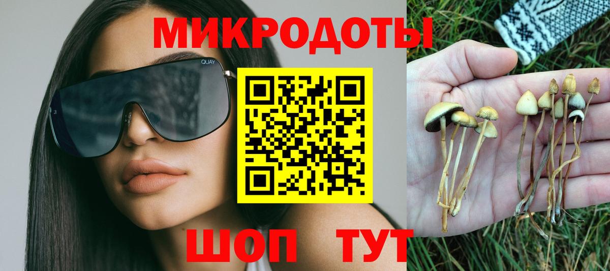 Галлюциногенные грибы ЛСД  Вход с VPN  Ишим 