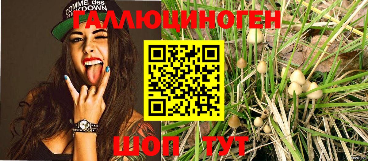Псилоцибиновые грибы прущие грибы Ишим