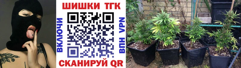 закладки  Ишим  Марихуана сатива 